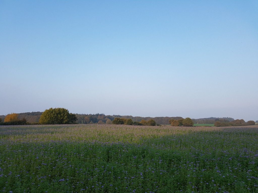 Ausblick Ferienwohnung Dachgeschoss
