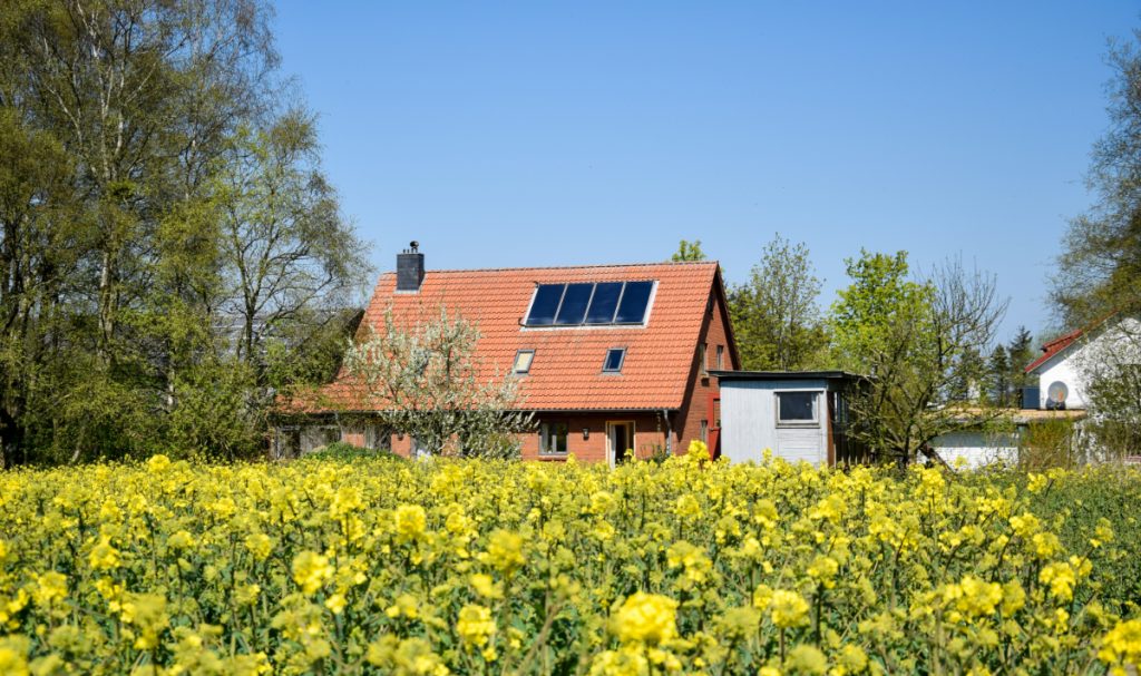 Haus im Rapsfeld