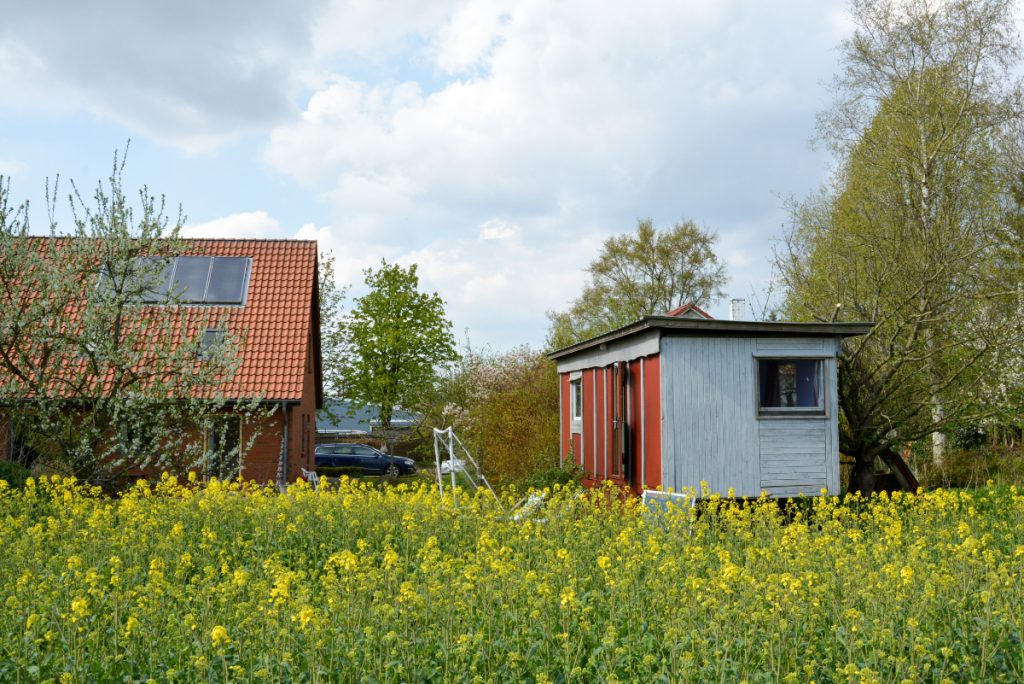 Bauwagen im Rapsfeld