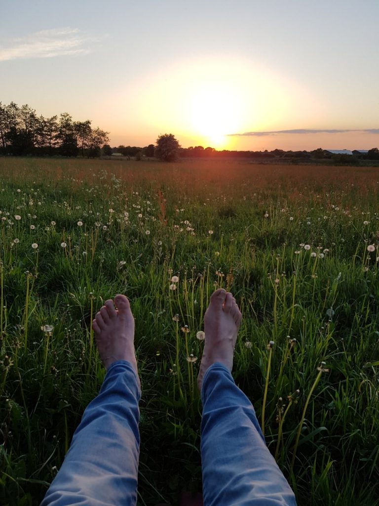 Landschaft in Freienwill
